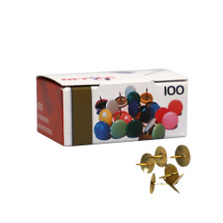 Caixa 100 pioneses LISMÂNIA...