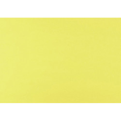 Pack 10 cartolinas 50X65cm...