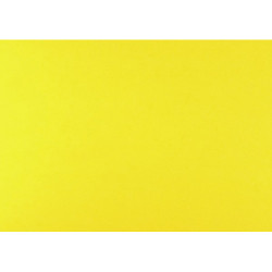 Pack 10 cartolinas 50X65cm...