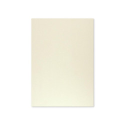 Cartolina 50x65cm Cinzento...